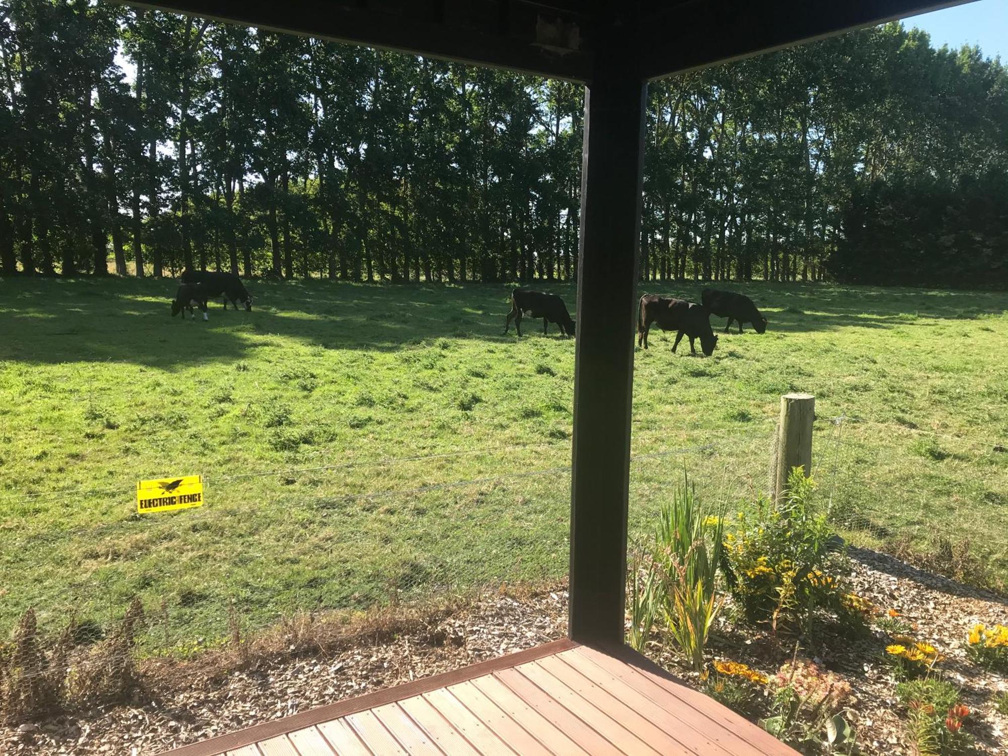 Hotel Brookside Country Escape 40 Minutes To Chc Airport Leeston Exterior foto