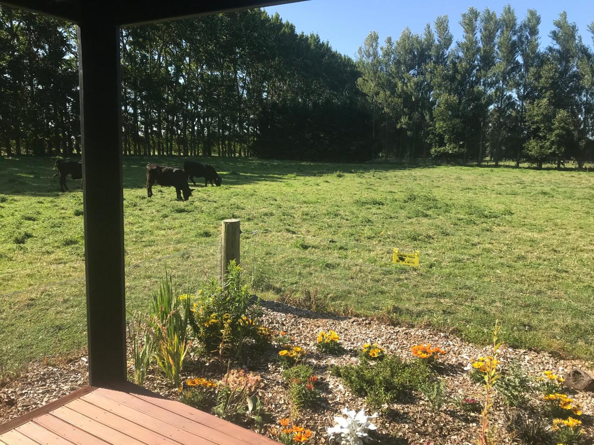Hotel Brookside Country Escape 40 Minutes To Chc Airport Leeston Exterior foto
